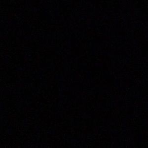 Meet your Posher, Sammy